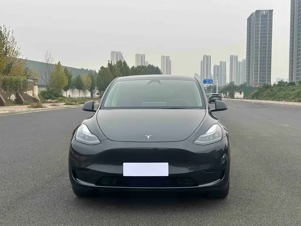 Tesla Model Y 2024 из CN, фото 8