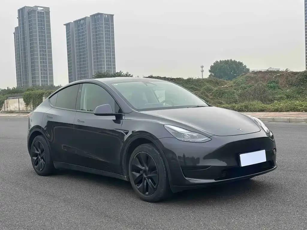 Tesla Model Y 2024 из CN, фото 3