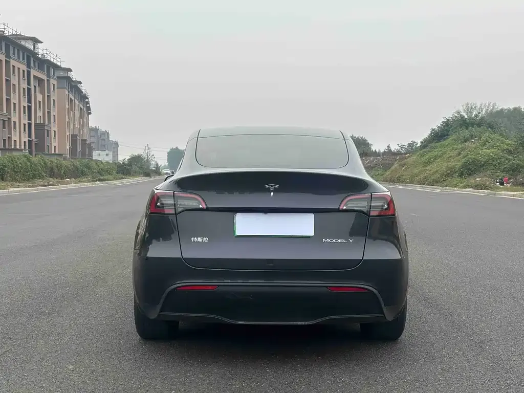 Tesla Model Y 2024 из CN, фото 7