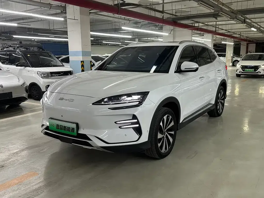 BYD PLUS New Energy 2024 из CN, фото 1