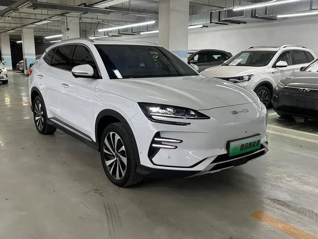BYD PLUS New Energy 2024 из CN, фото 6