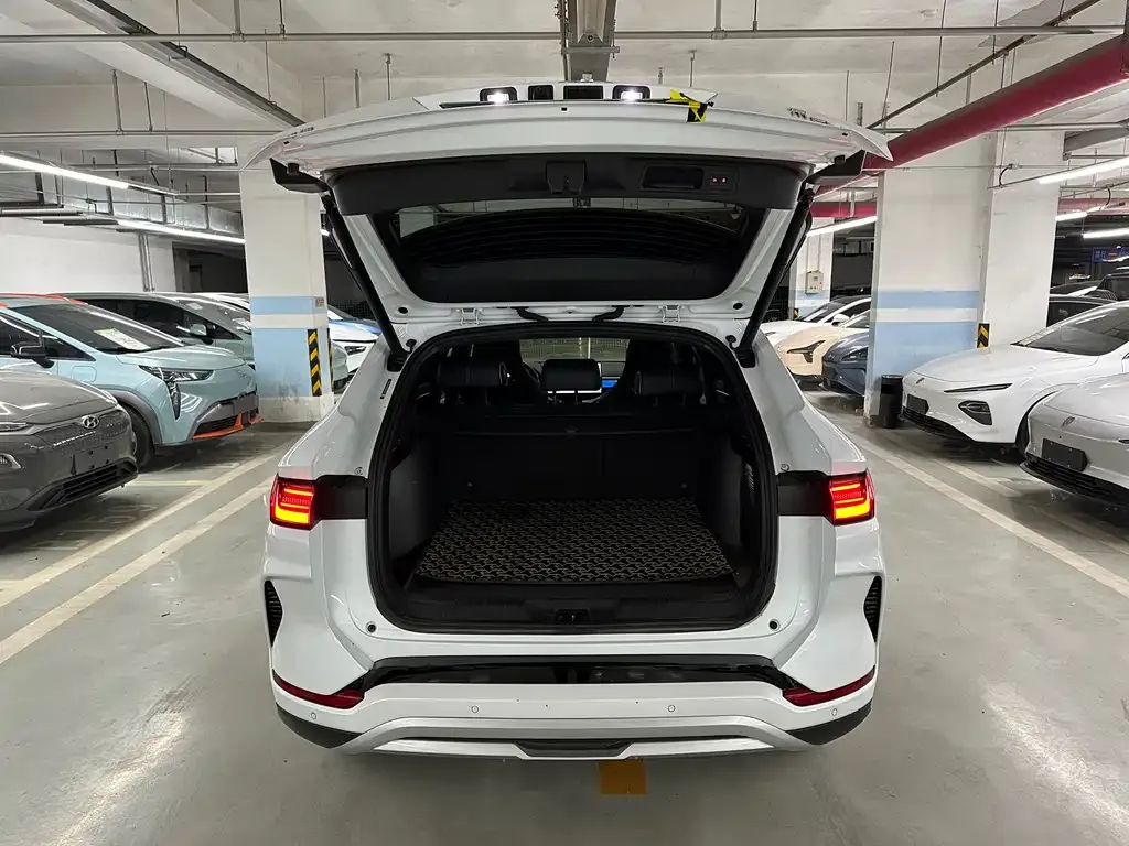 BYD PLUS New Energy 2024 из CN, фото 8