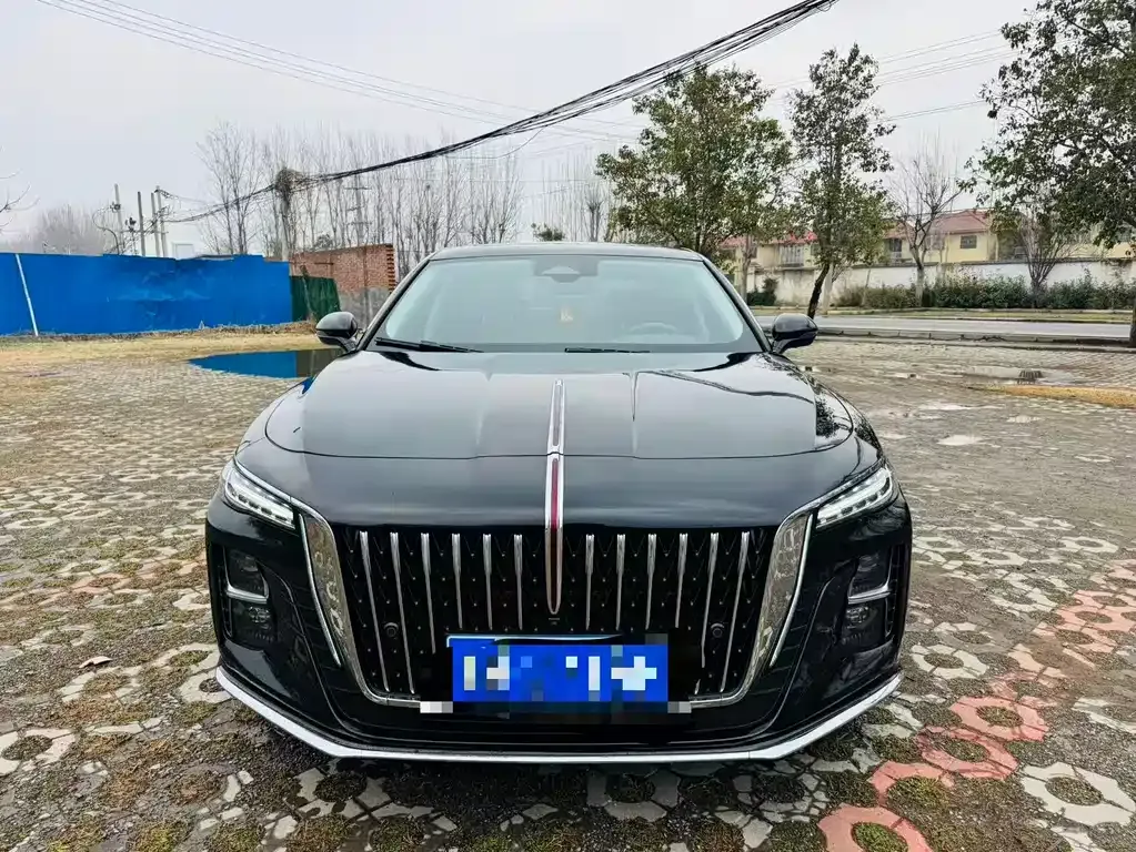 Hongqi H5 2024 из CN, фото 4