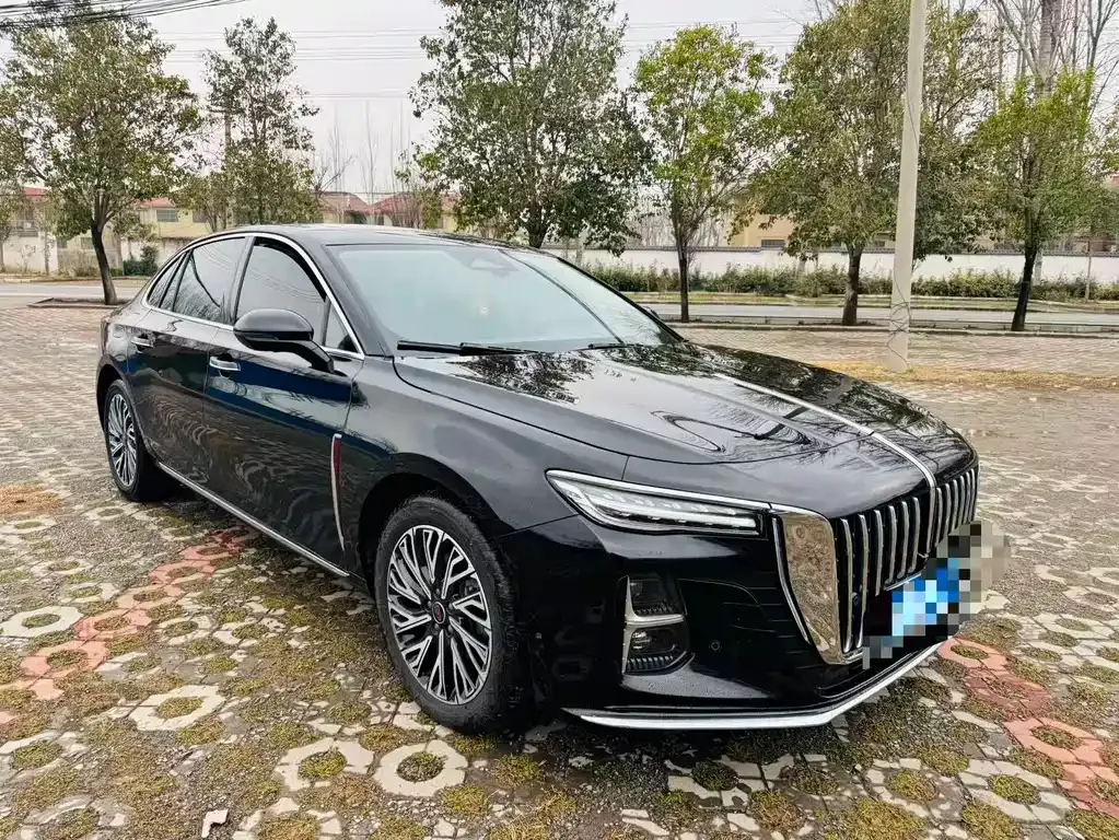 Hongqi H5 2024 из CN, фото 3