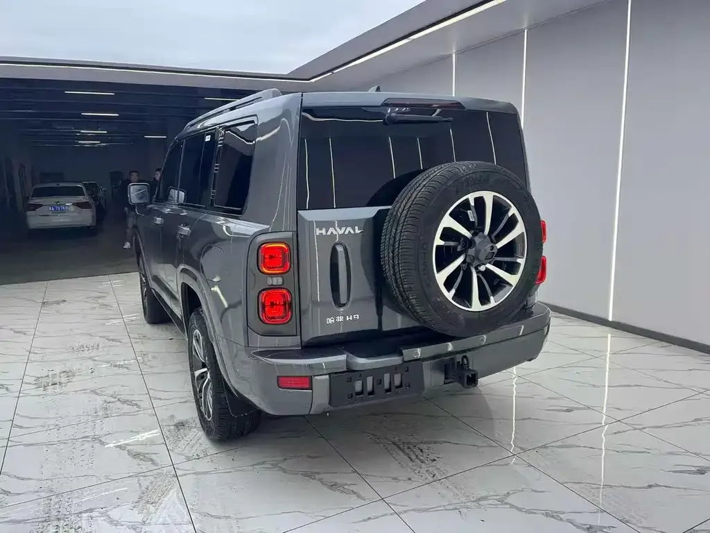 Haval H9 2025 из CN, фото 6