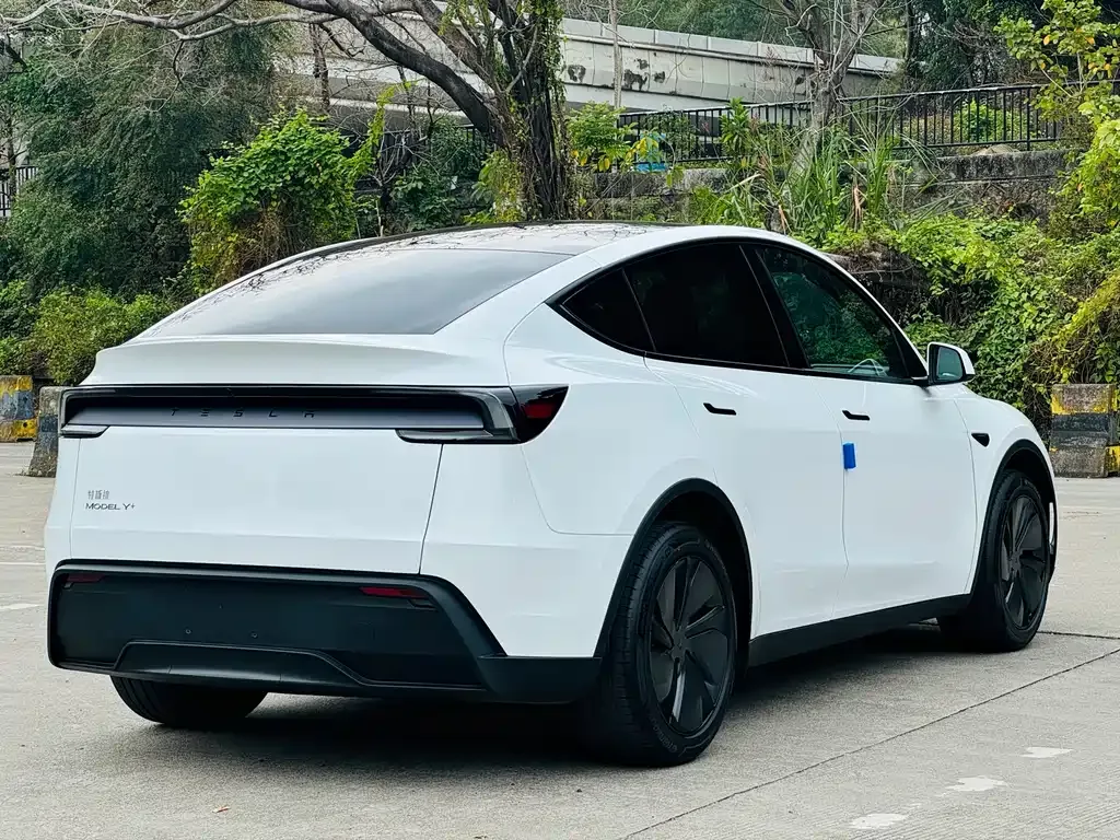 Tesla Model Y — фото 8
