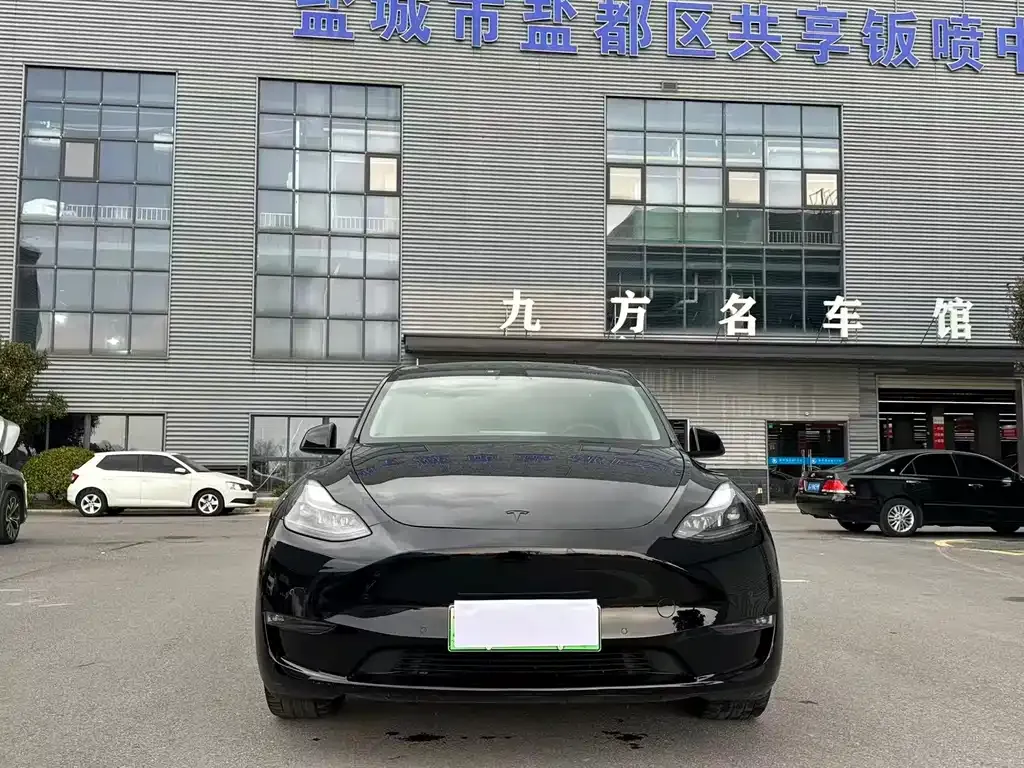 Tesla Model Y — фото 6