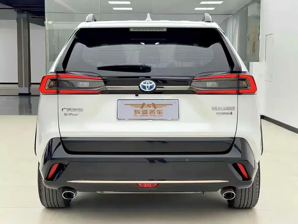 Toyota Wildlander 2022 из CN, фото 8