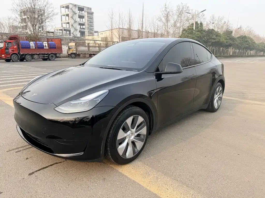 Tesla Model Y — фото 1