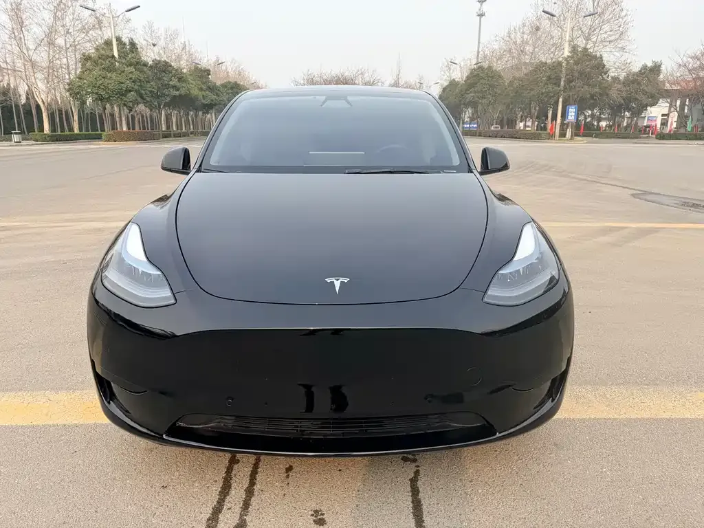Tesla Model Y — фото 8