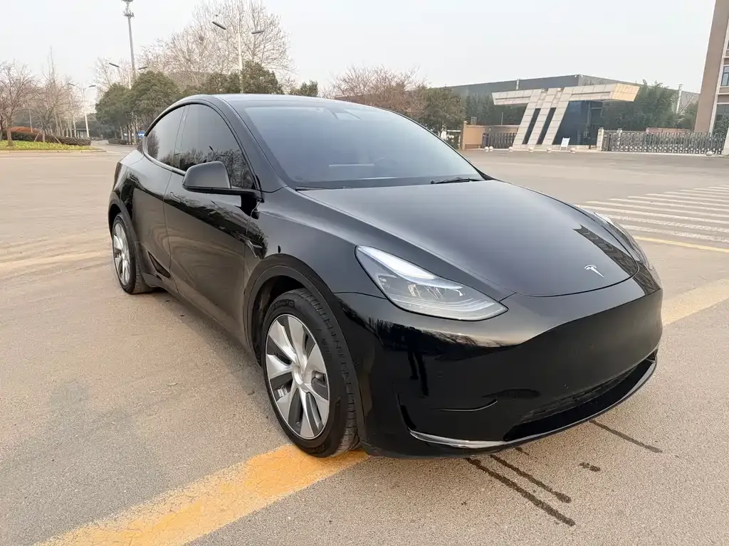 Tesla Model Y — фото 5