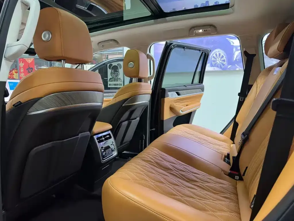 Tank 500 New Energy 2024 из CN, фото 10