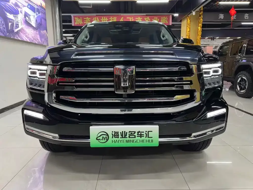 Tank 500 New Energy 2024 из CN, фото 3