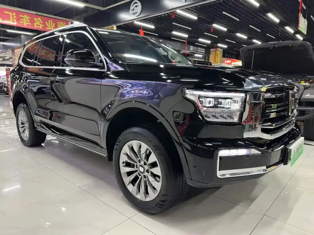 Tank 500 New Energy 2024 из CN, фото 6