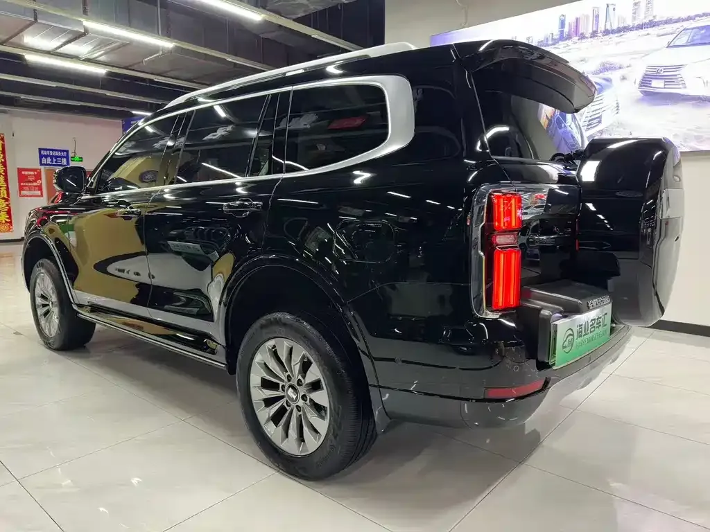 Tank 500 New Energy 2024 из CN, фото 9