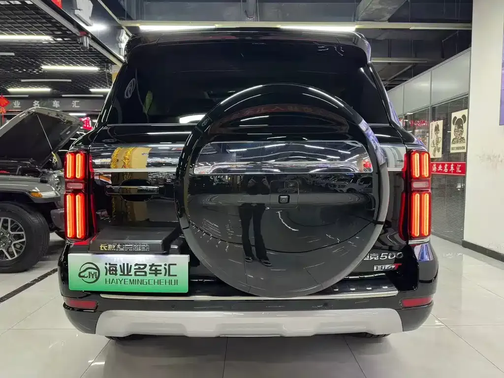 Tank 500 New Energy 2024 из CN, фото 8