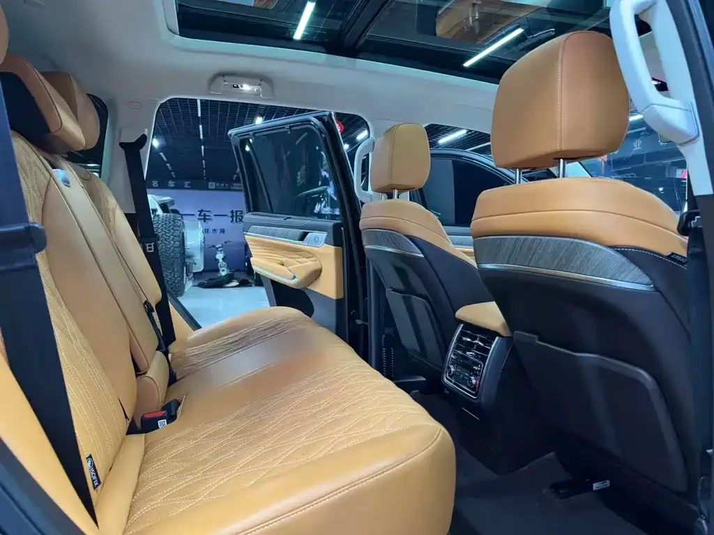 Tank 500 New Energy 2024 из CN, фото 7