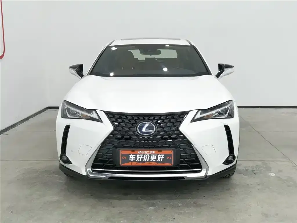 Lexus UX New Energy — фото 2