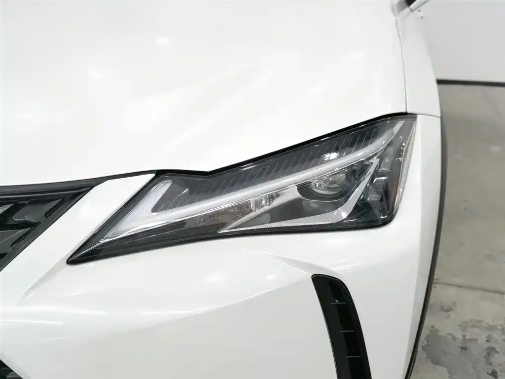 Lexus UX New Energy — фото 8