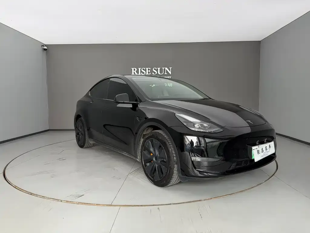 Tesla Model Y — фото 9