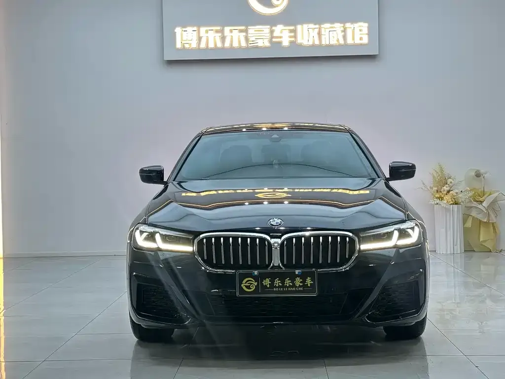 BMW 5 Series 2023 из CN, фото 10