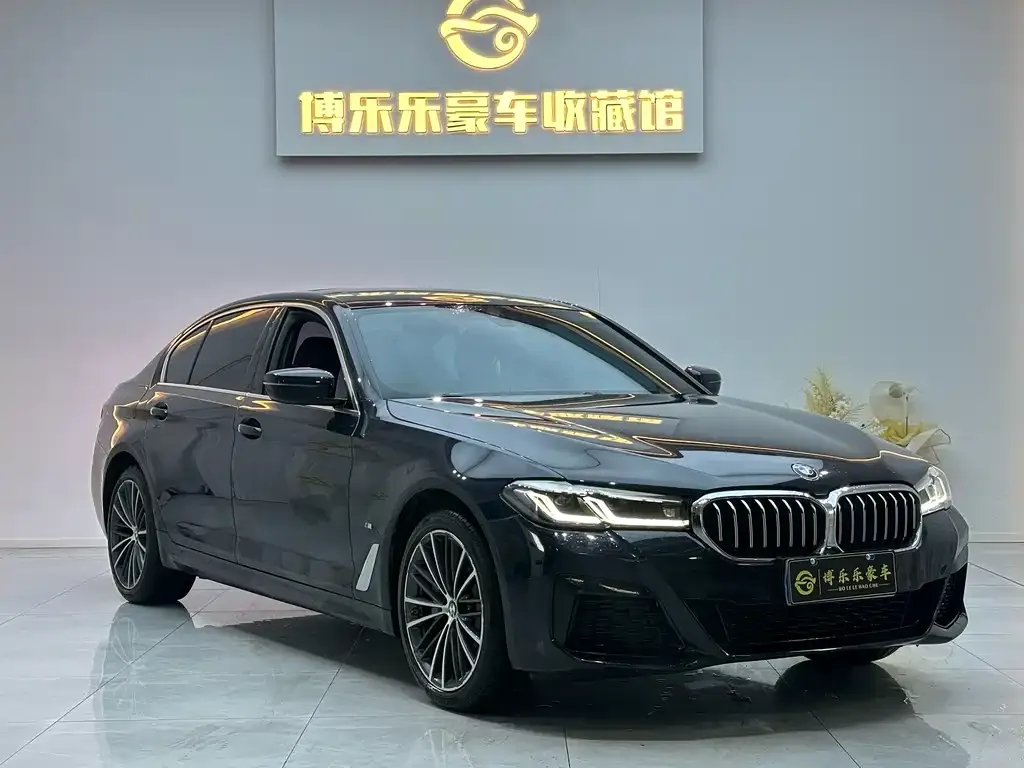 BMW 5 Series 2023 из CN, фото 6