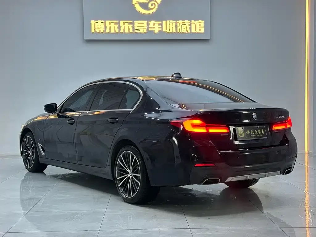 BMW 5 Series 2023 из CN, фото 3