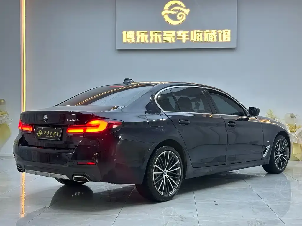 BMW 5 Series 2023 из CN, фото 5
