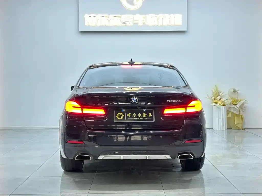 BMW 5 Series 2023 из CN, фото 2