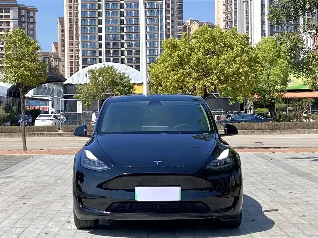 Tesla Model Y 2022 из CN, фото 1