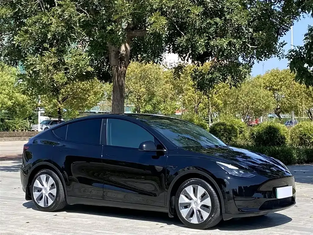 Tesla Model Y 2022 из CN, фото 8