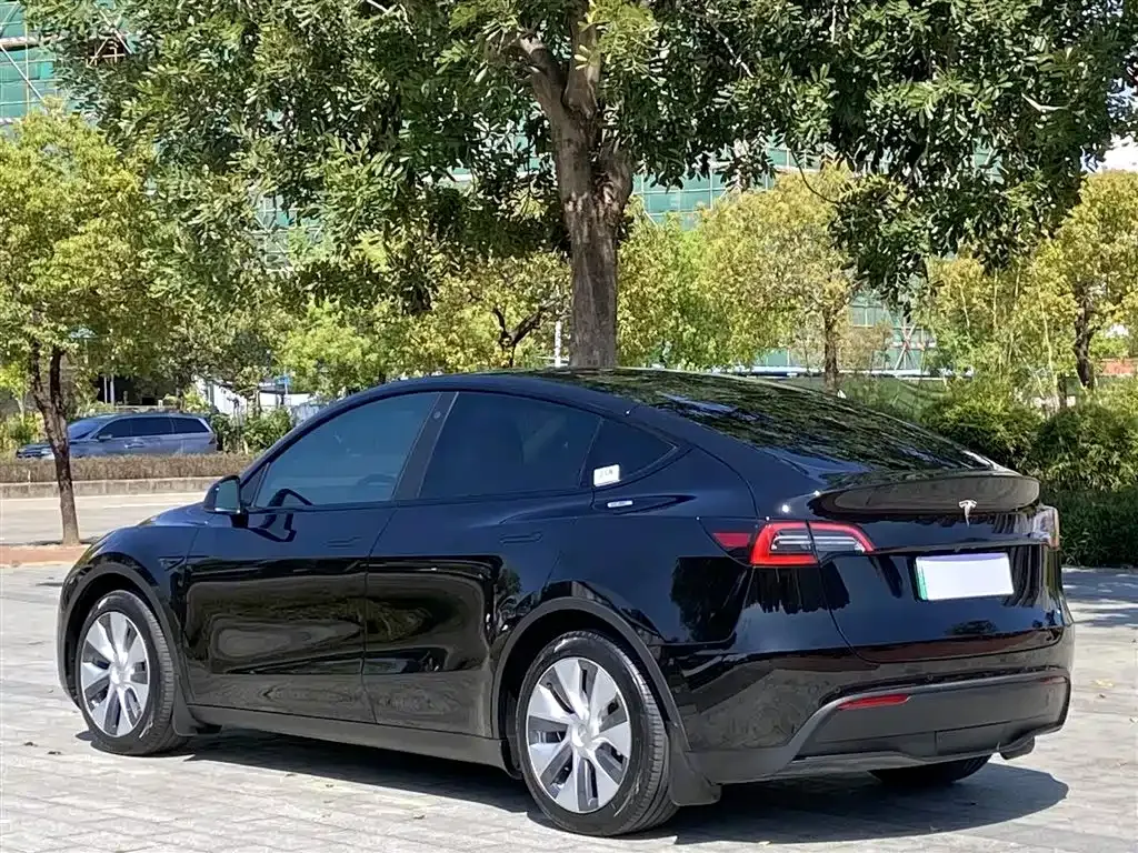 Tesla Model Y 2022 из CN, фото 4