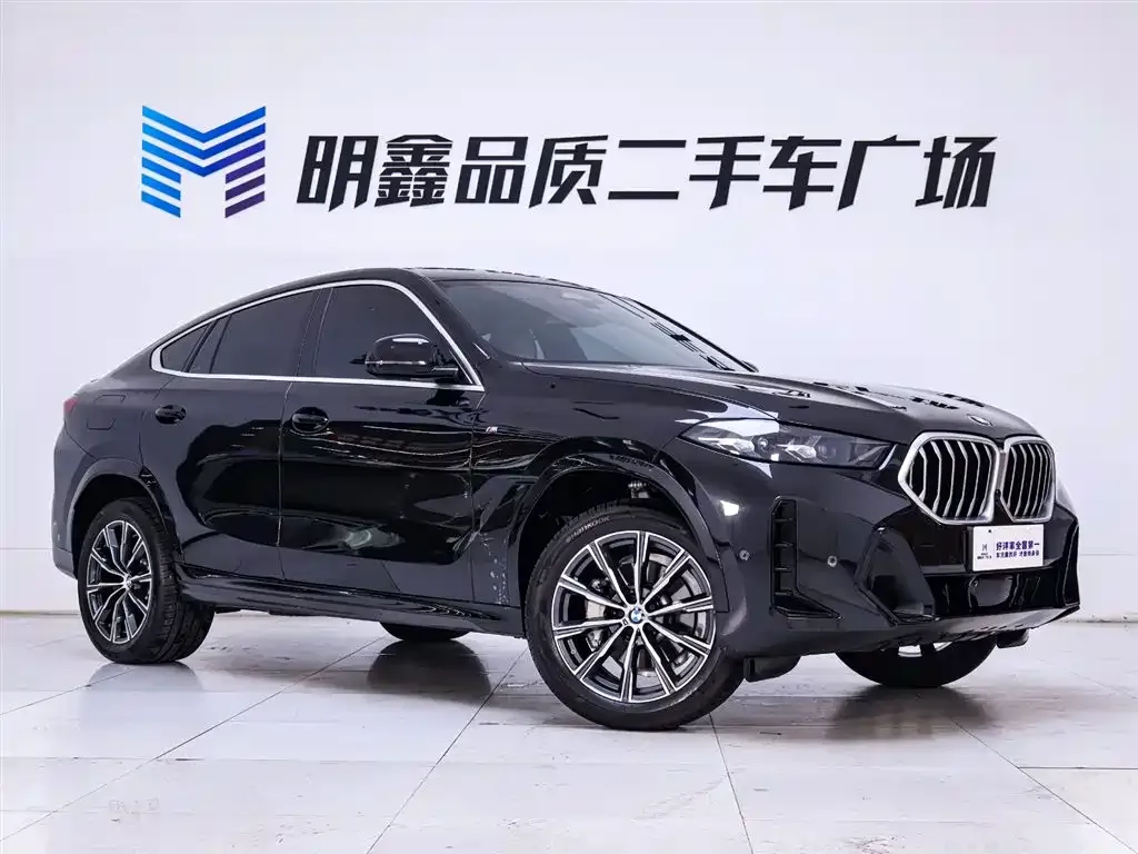 BMW X6 2025 из CN, фото 9