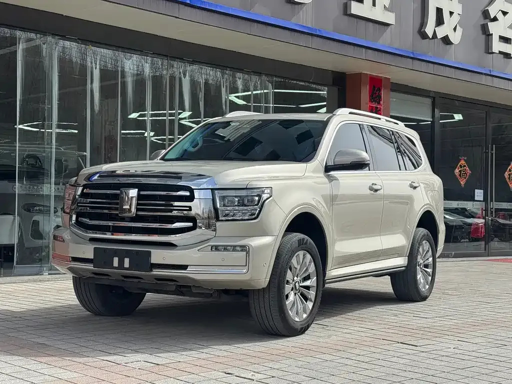 Tank 500 New Energy 2024 из CN, фото 1