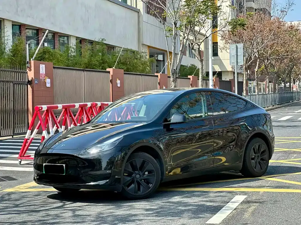 Tesla Model Y 2024 из CN, фото 1
