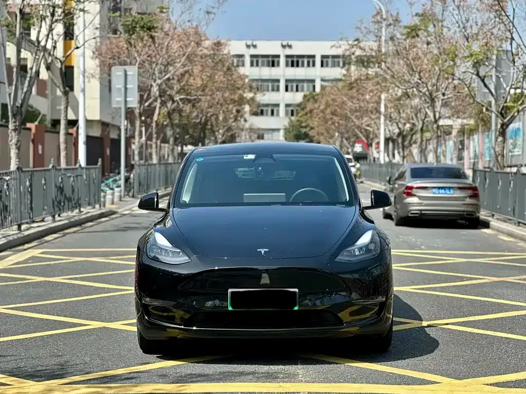 Tesla Model Y 2024 из CN, фото 2