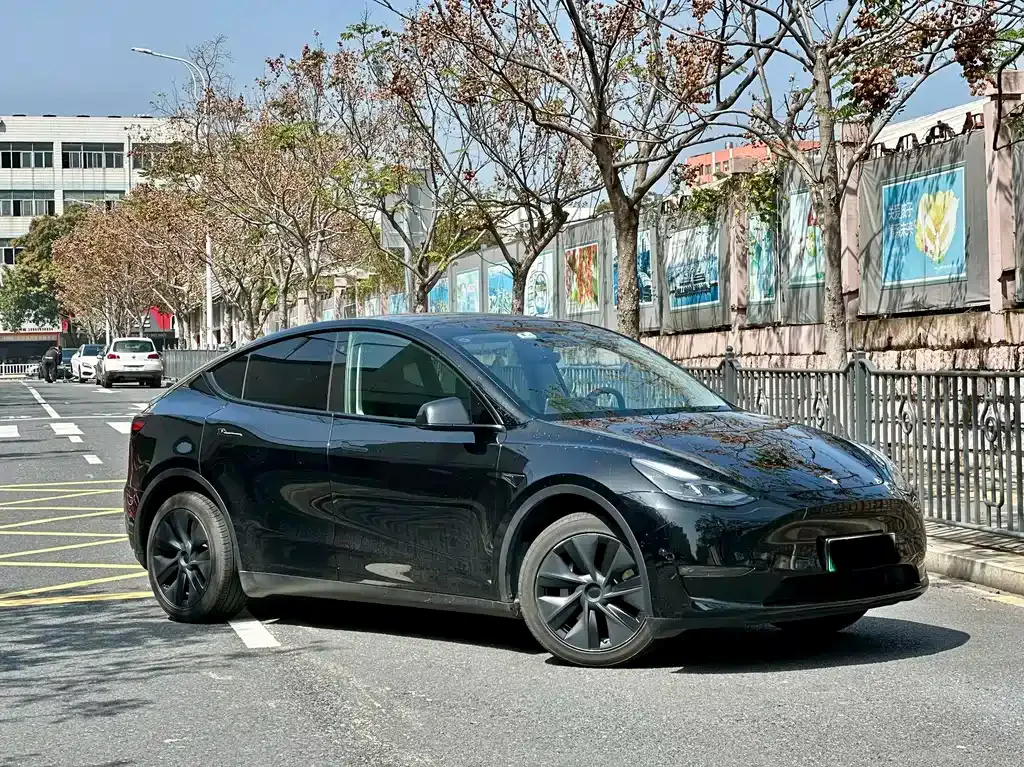 Tesla Model Y 2024 из CN, фото 3