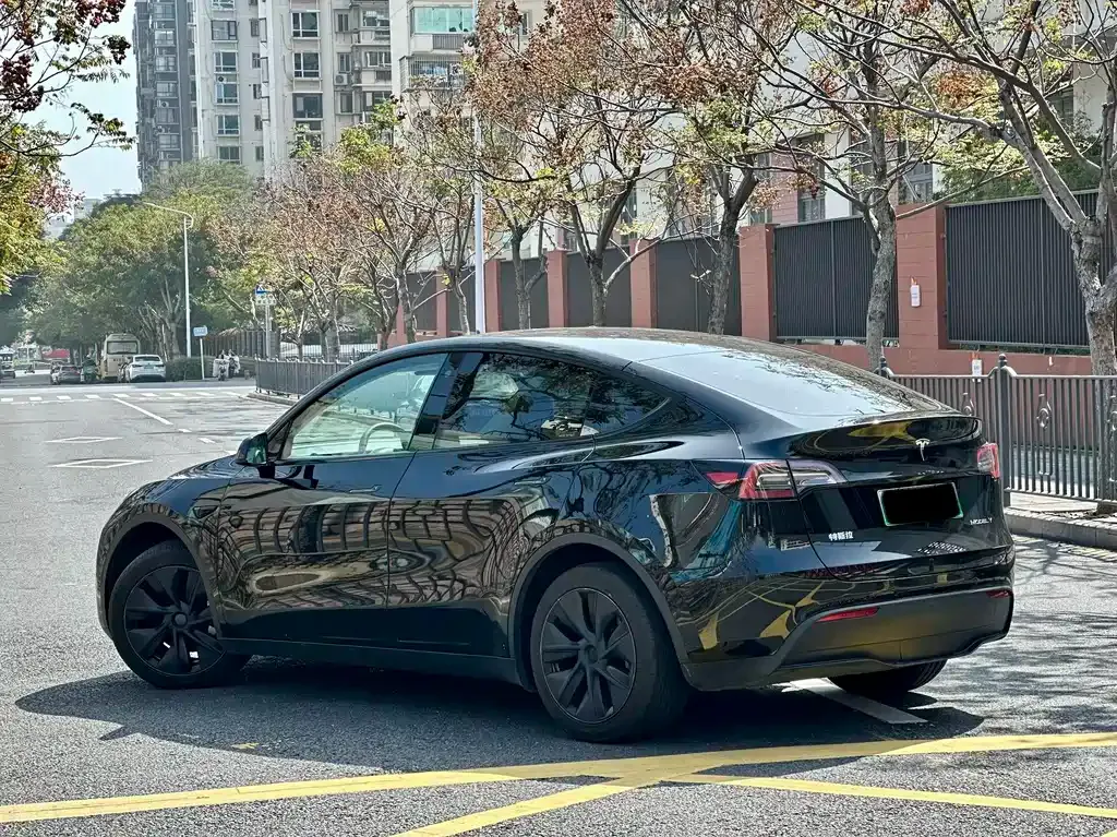 Tesla Model Y 2024 из CN, фото 9