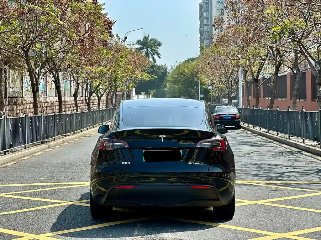 Tesla Model Y 2024 из CN, фото 5