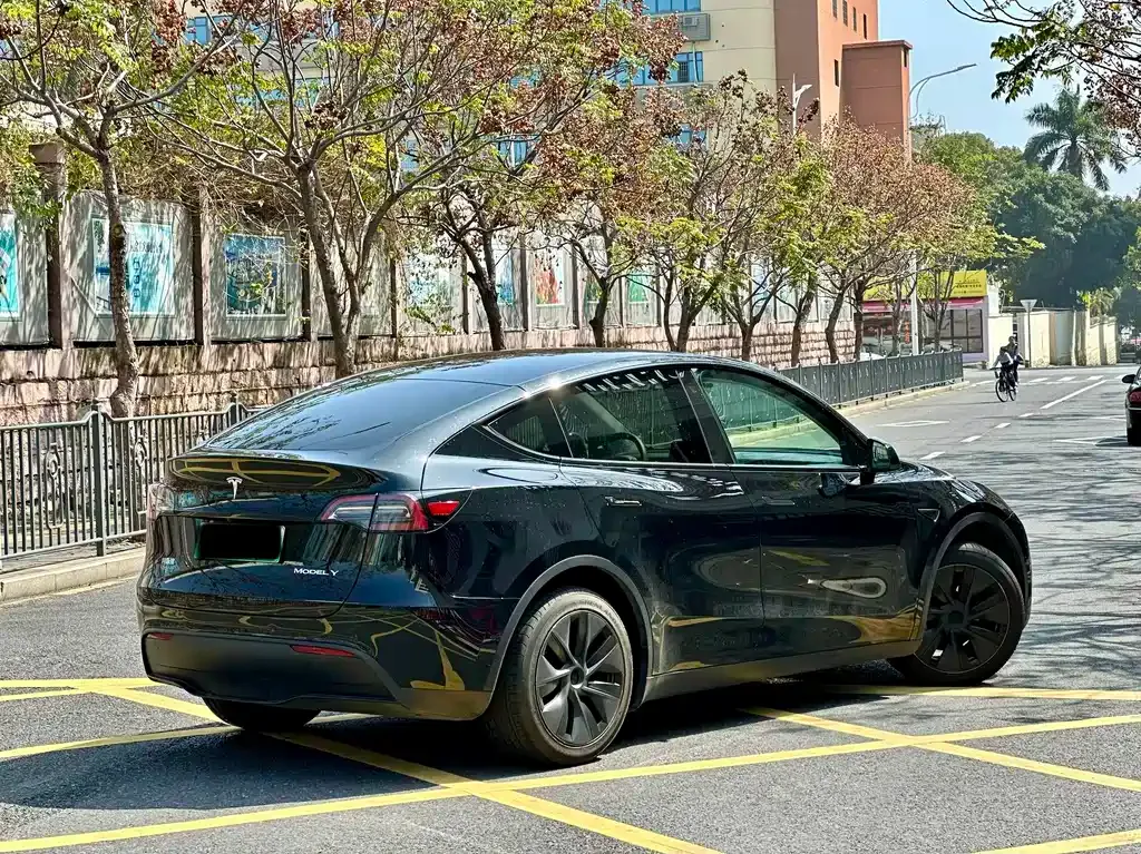 Tesla Model Y 2024 из CN, фото 8
