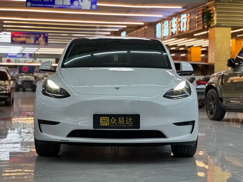 Tesla Model Y 2024 из CN, фото 9