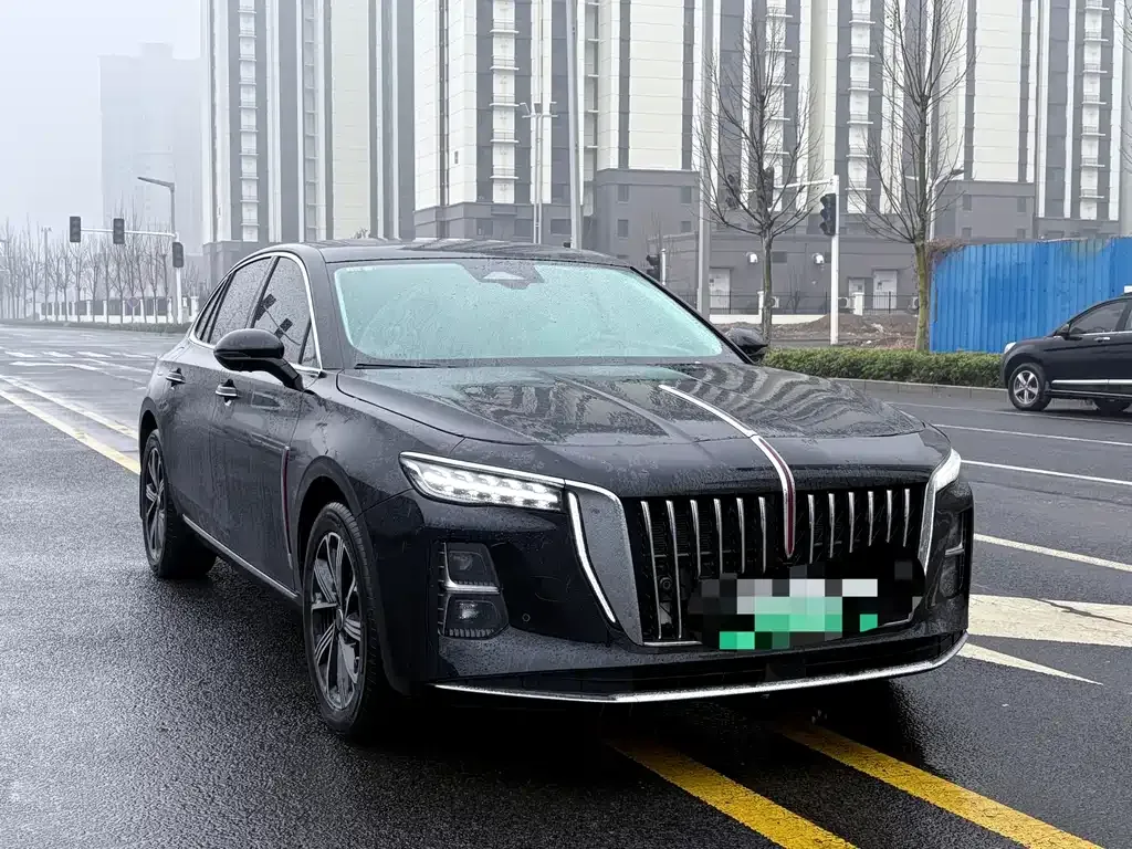 Hongqi H5 PHEV 2025 из CN, фото 7