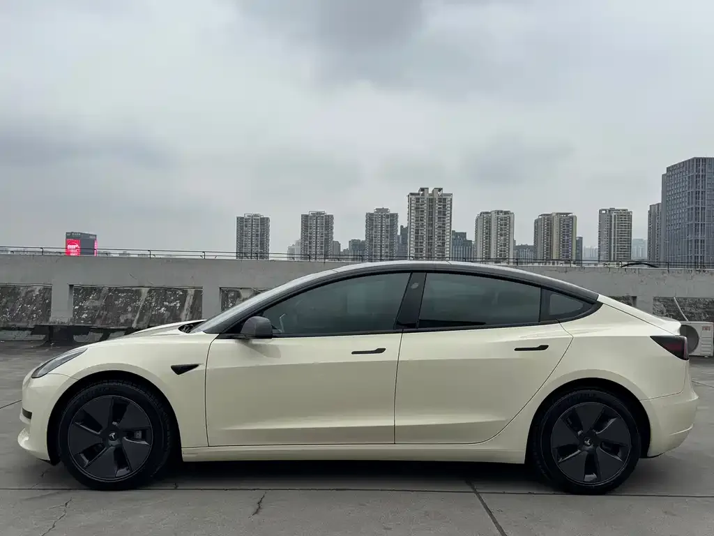 Tesla Model 3 2023 из CN, фото 4