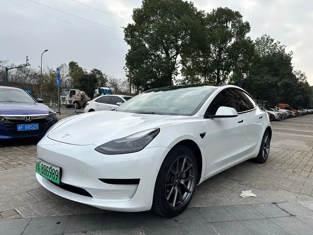 Tesla Model 3 2021 из CN, фото 1
