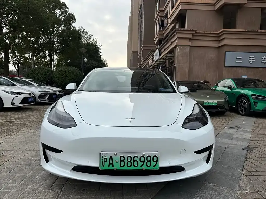 Tesla Model 3 2021 из CN, фото 4