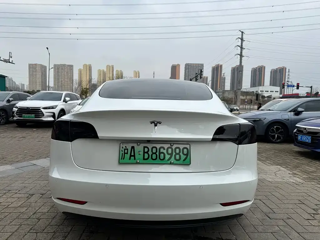 Tesla Model 3 2021 из CN, фото 6