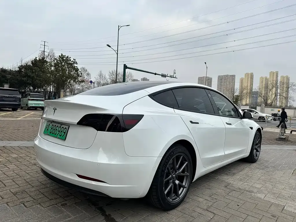 Tesla Model 3 2021 из CN, фото 3