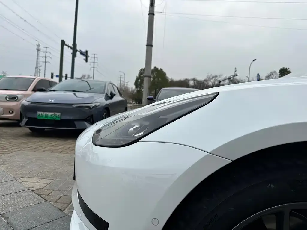 Tesla Model 3 2021 из CN, фото 5