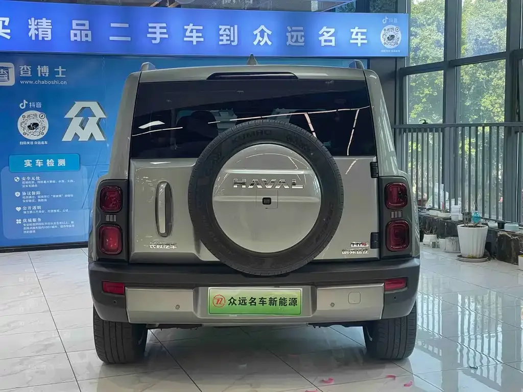 Haval Menglong New Energy 2023 из CN, фото 5