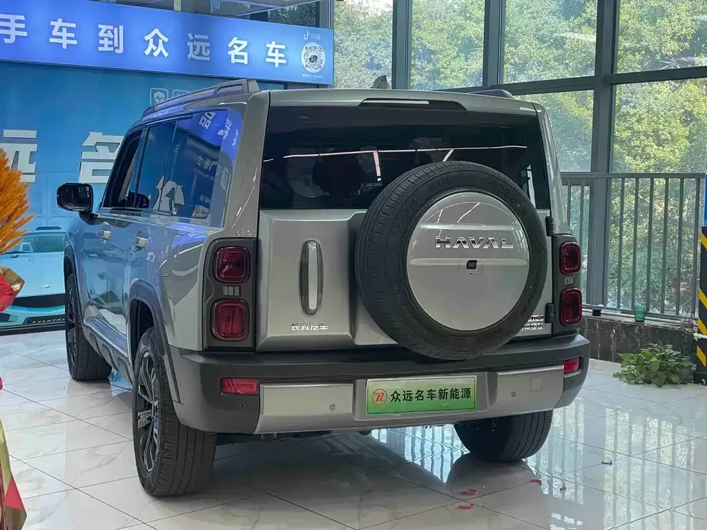 Haval Menglong New Energy 2023 из CN, фото 10